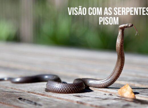 Visão com as três srpentes píton